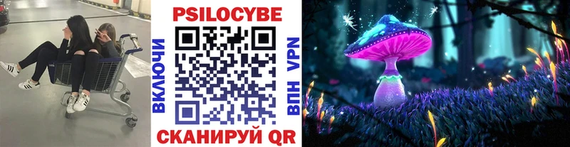 blacksprut вход Собинка Галлюциногенные грибы MAGIC MUSHROOMS сколько стоит